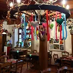 Hassenforder Guest house Kaysersberg-Vignoble