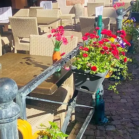 Hassenforder Guest house Kaysersberg-Vignoble
