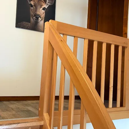 Penzion Hassenforder 3*