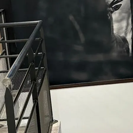 Hassenforder 招待所 凯泽贝尔