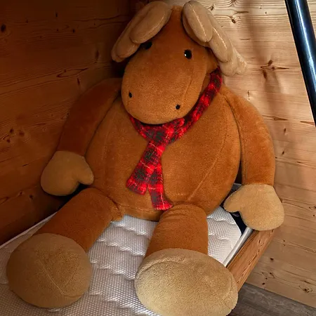 Hassenforder Kaysersberg-Vignoble