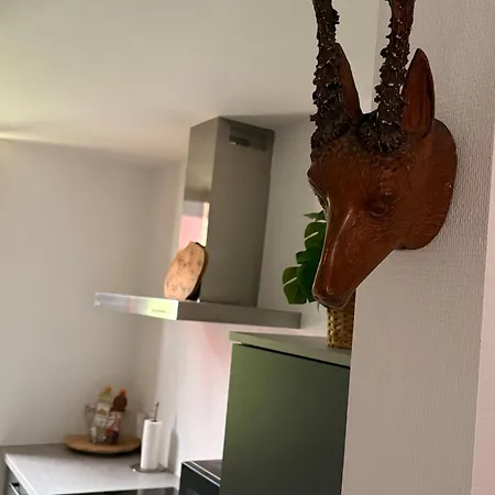 Hassenforder Penzion Kaysersberg-Vignoble