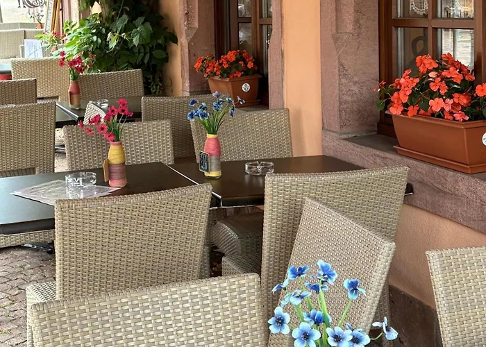 Hassenforder 3* Kaysersberg-Vignoble